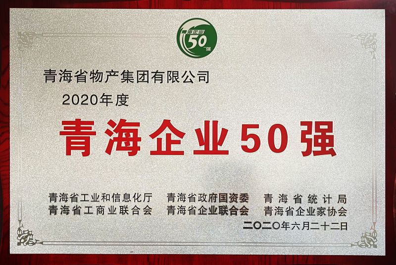 2020年度青海企業(yè)50強(qiáng)