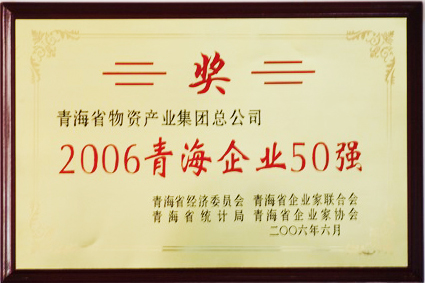 2006青海企業(yè)50強